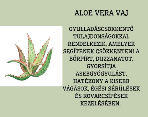 ALOE VERA VAJ 50 ml