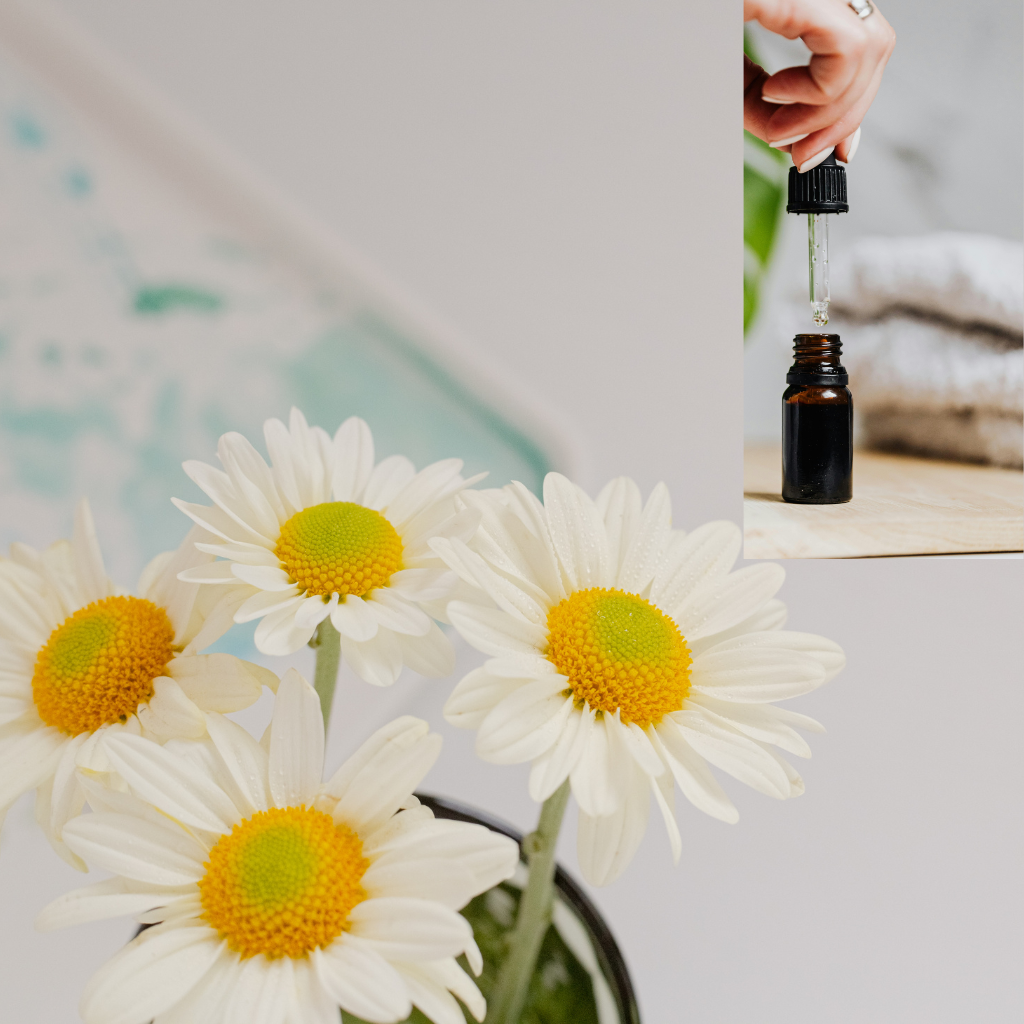 Bisabolol – a bőrnyugtatás természetes titka