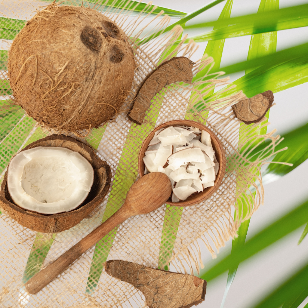 Kókuszolaj, frakcionált kókuszolaj, MCT olaj – Mi a különbség?